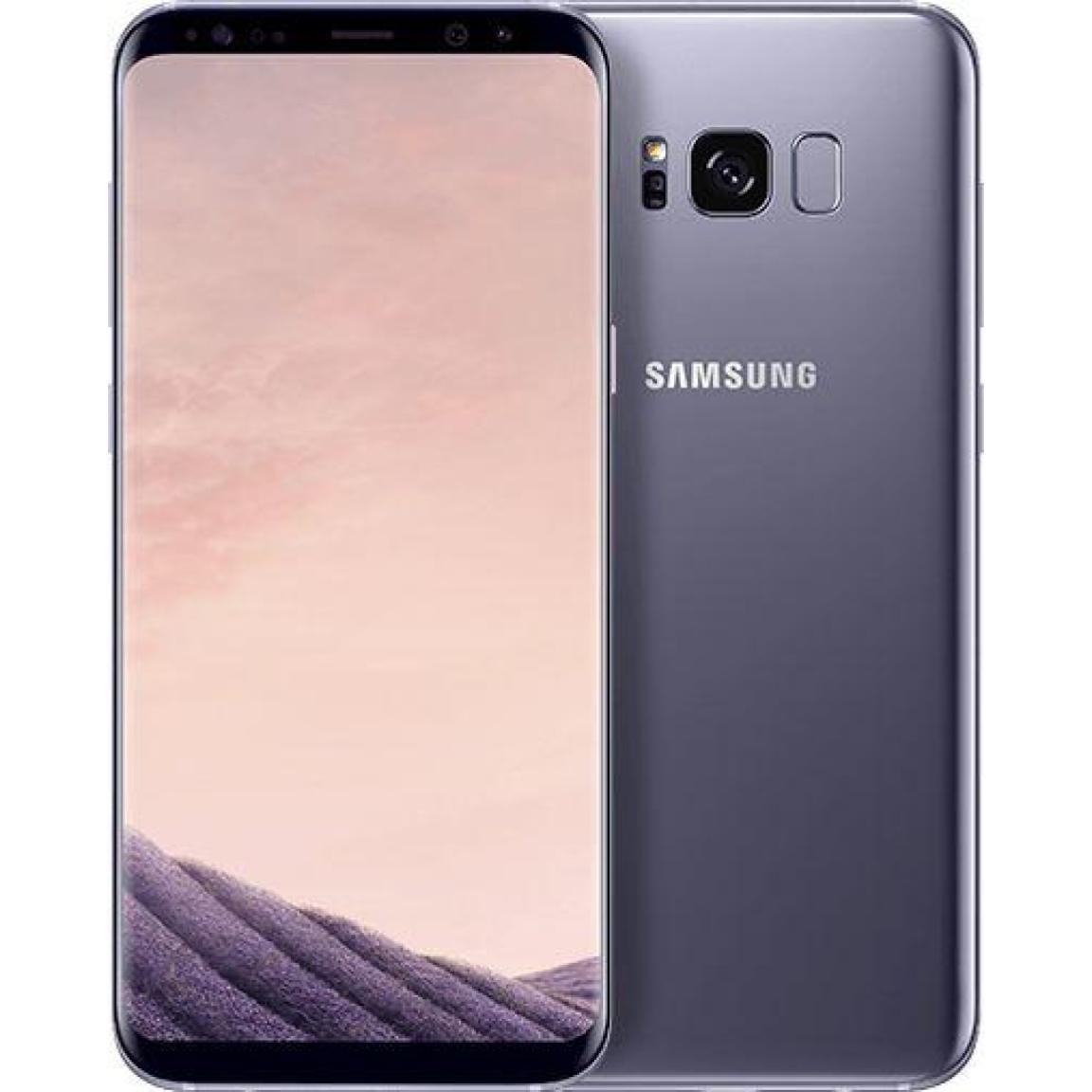 Samsung Galaxy S8 Plus Rückseite / Akkudeckel Reparatur (Original)